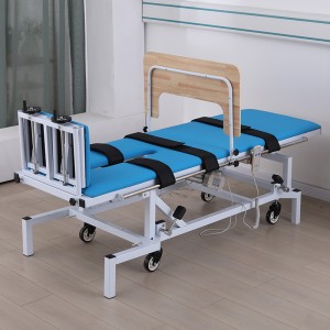 Rehabilitation Hospital Electric Standing Bed TYPE D