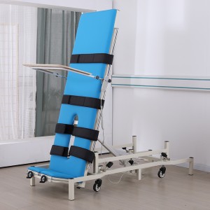 Rehabilitation Hospital Electric Standing Bed TYPE E