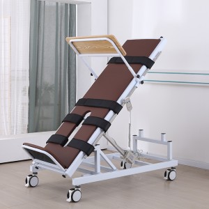 Rehabilitation Hospital Electric Standing Bed TYPE A