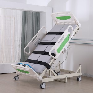 Rehabilitation Hospital Electric Standing Bed JLL-XLC-D/ZL-2-GREEN