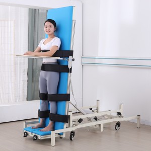 Rehabilitation Hospital Electric Standing Bed TYPE E