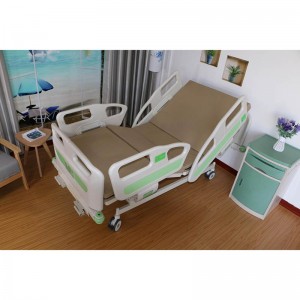 Hot New Products Full Electric Bed - Fashion color 2 function hospital nursing bed A04-1 – Webian